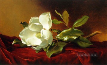 Martin Johnson Heade Painting - Una magnolia sobre terciopelo rojo ATC Flor romántica Martin Johnson Heade